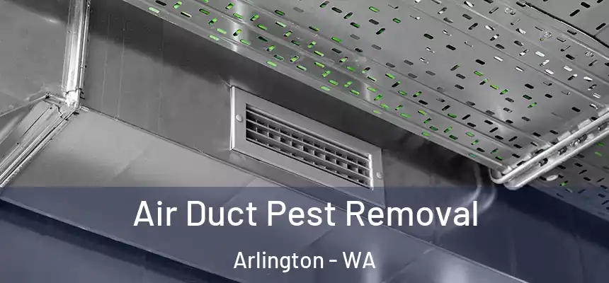  Air Duct Pest Removal Arlington - WA