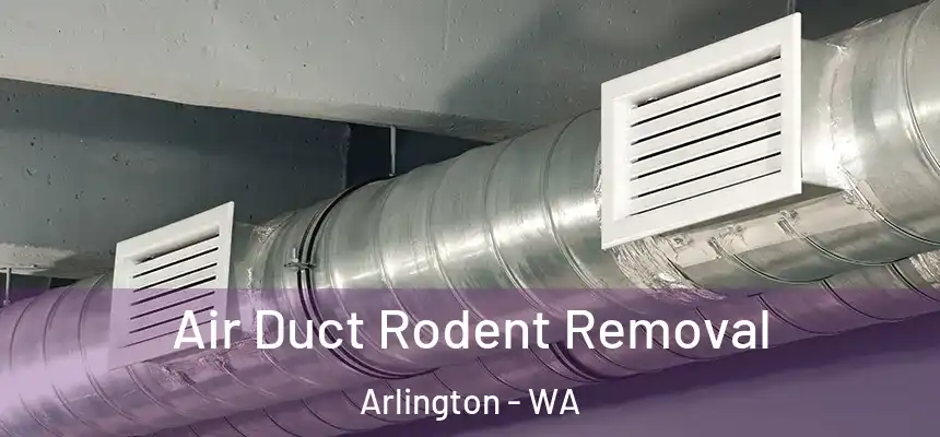  Air Duct Rodent Removal Arlington - WA