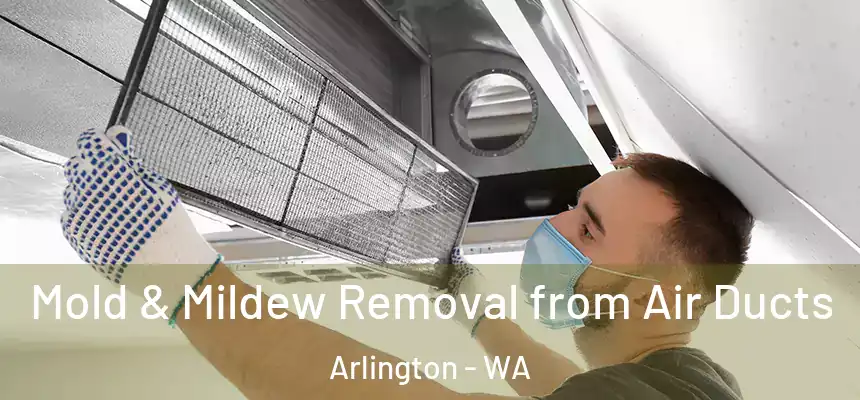  Mold & Mildew Removal from Air Ducts Arlington - WA