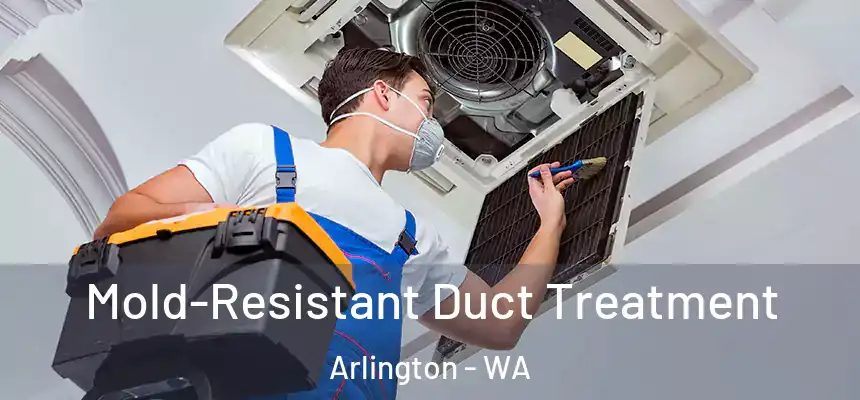  Mold-Resistant Duct Treatment Arlington - WA