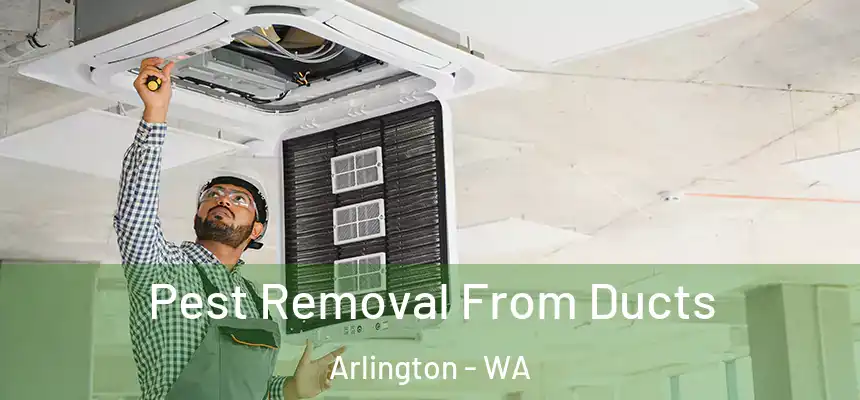  Pest Removal From Ducts Arlington - WA