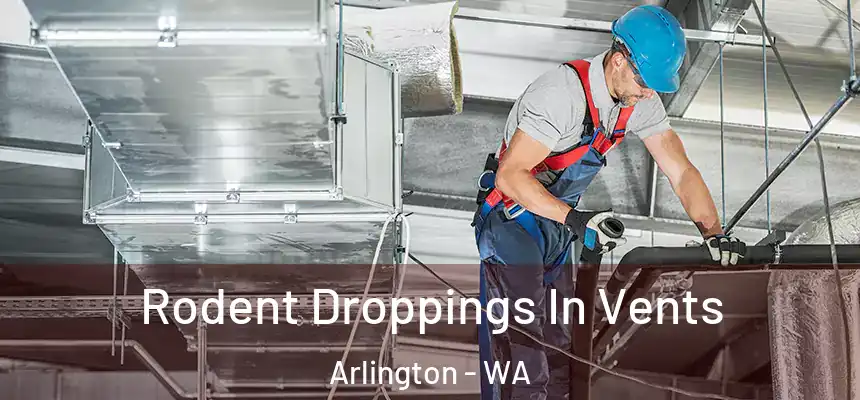  Rodent Droppings In Vents Arlington - WA