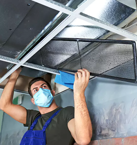 Professional Air Duct Pollen Cleaning in Arlington, WA
