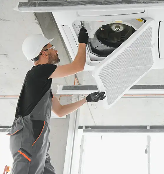 About Air Duct Rodent Removal in Arlington, WA