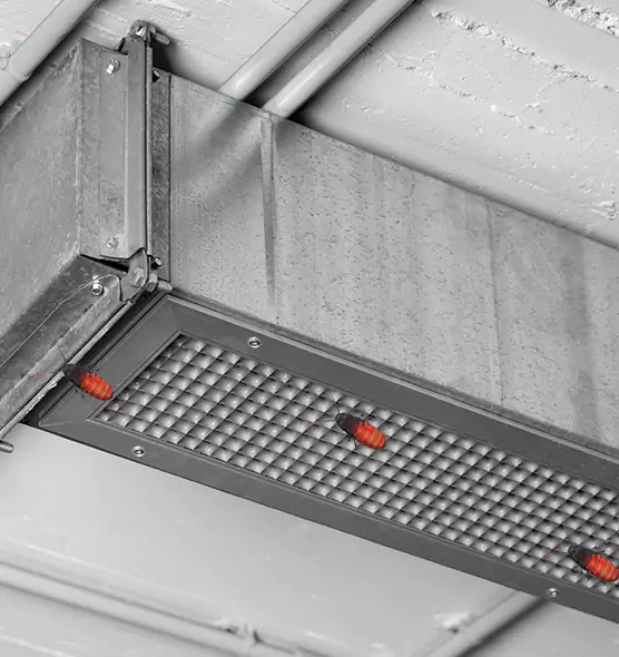 Affordable Insect Removal from Air Ducts in Arlington, WA