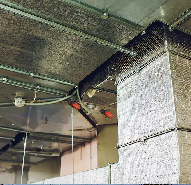 Why Homeowners & Businesses Trust Us in Arlington, WA?