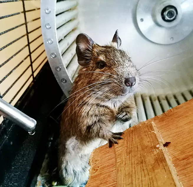 Why Homeowners & Businesses Trust Us Arlington, WA